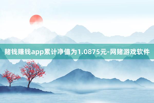 赌钱赚钱app累计净值为1.0875元-网赌游戏软件