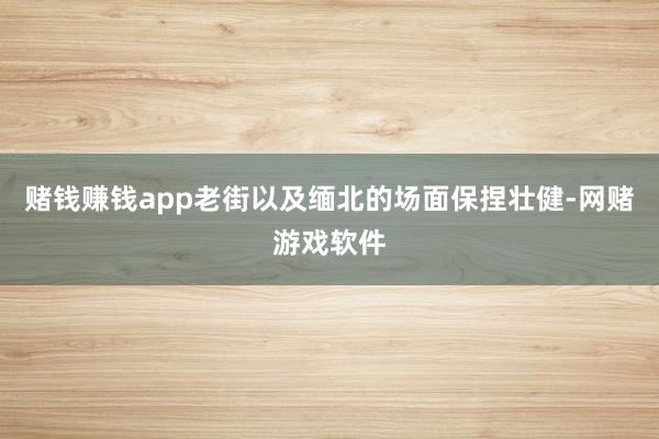 赌钱赚钱app老街以及缅北的场面保捏壮健-网赌游戏软件