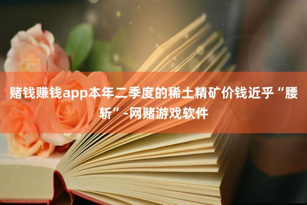 赌钱赚钱app本年二季度的稀土精矿价钱近乎“腰斩”-网赌游戏软件