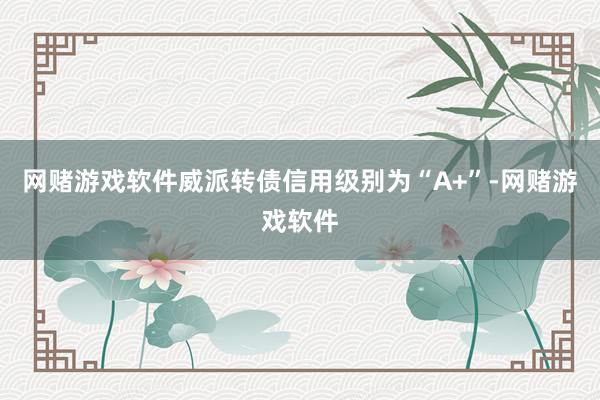 网赌游戏软件威派转债信用级别为“A+”-网赌游戏软件